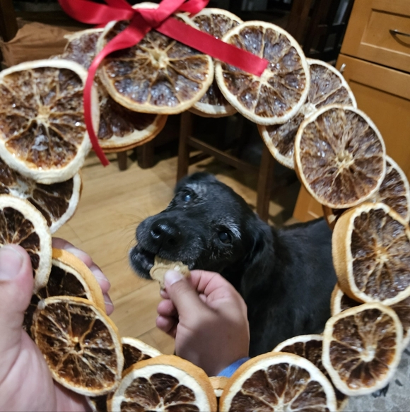 Meet your Posher, K.C - Picture 3 of 10